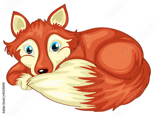 fox