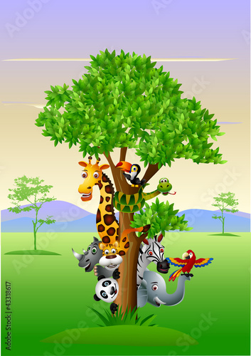 various funny cartoon safari animals to hide behind a tree