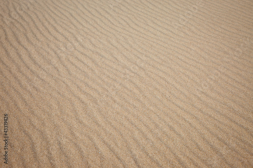 Beach golden sand background  textured 