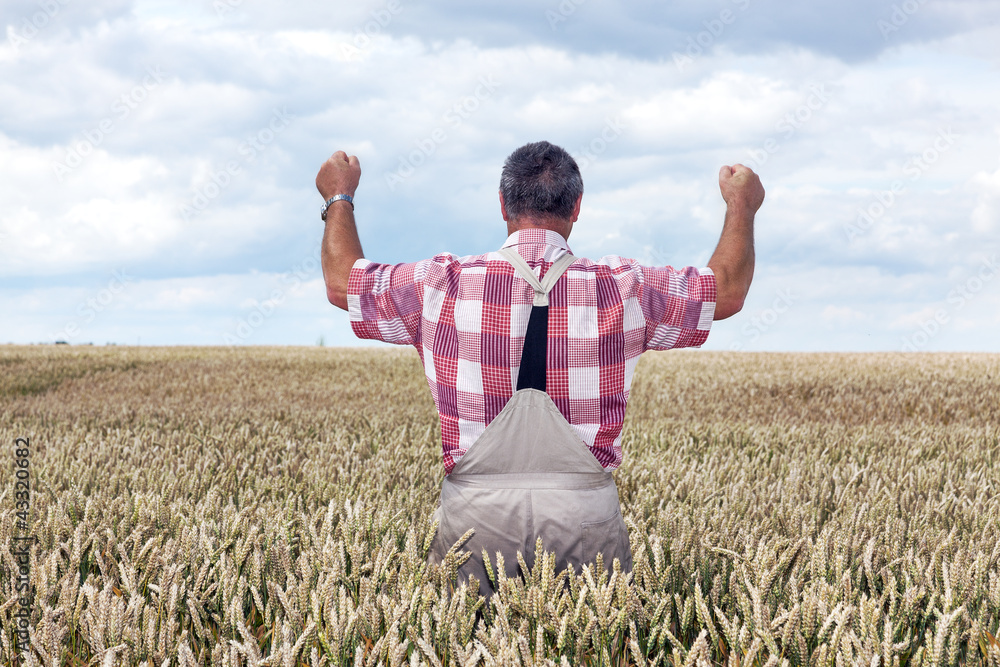 Bauer shows joy in his corn field Bauer shows joy in his corn field