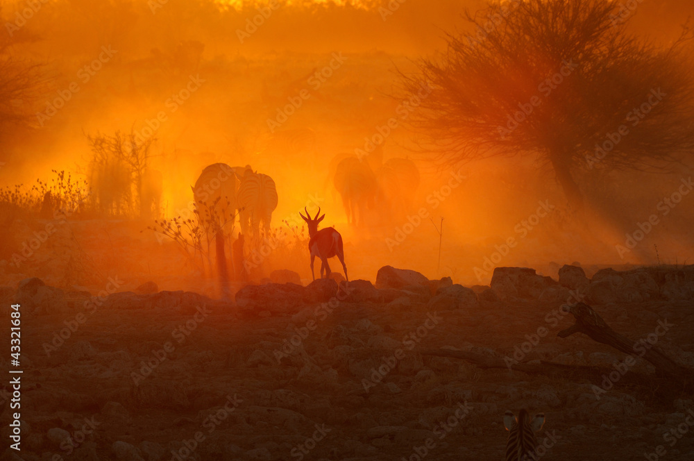 Sunset at Okaukeujo, Namibia
