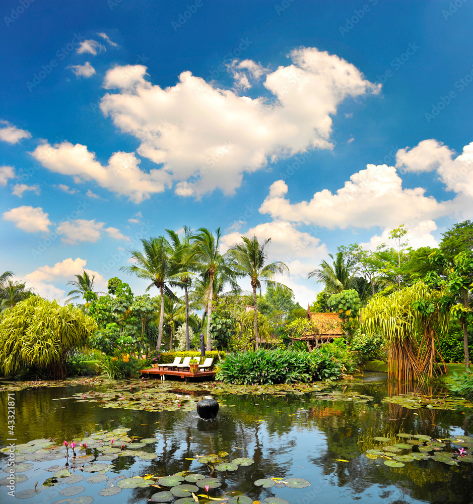 Obraz premium pond with lush tropical plants over cloudy blue sky