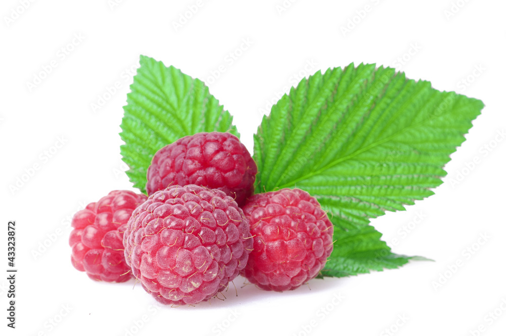 Raspberry Raspberry