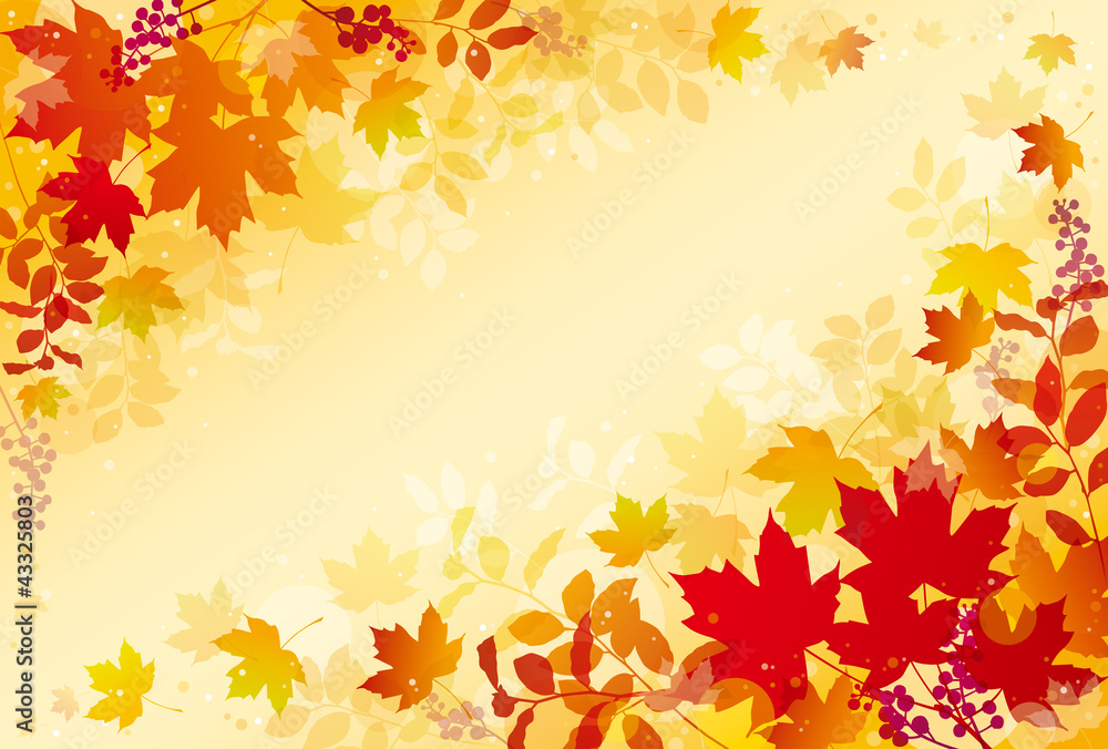 紅葉 紅葉