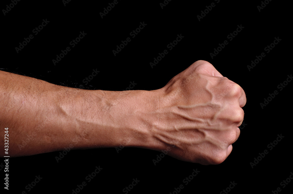 Hand Hand