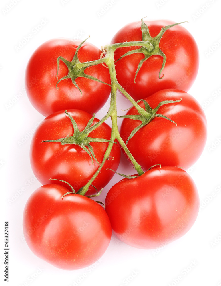 Fresh tomatoes on branch isolated on white Fresh tomatoes on branch isolated on white