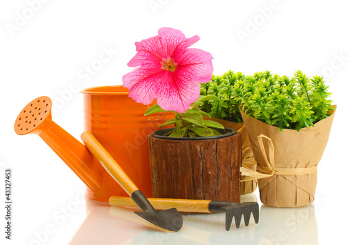 Fototapeta Naklejka Na Ścianę i Meble -  watering can, tools and plants in flowerpot isolated on white