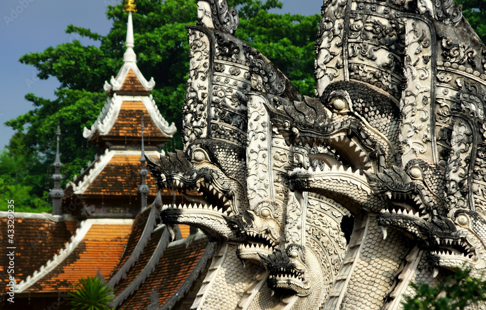 Fototapeta premium dragons guardiens du temple