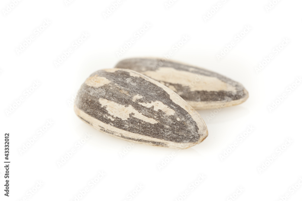 Organic Roasted SunFlower Seeds Organic Roasted SunFlower Seeds