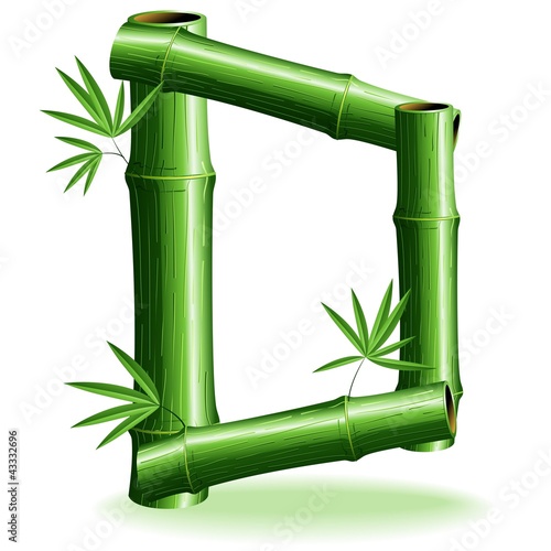 Bambù Lettera D - Bamboo Logo Sign Letter D - Vector