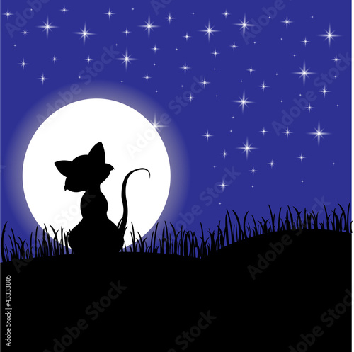 background with cat and moon