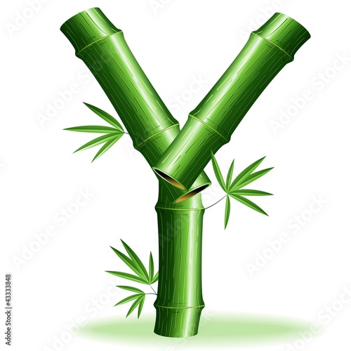 Bambù Lettera Y-Bamboo Logo Sign Letter Y-Vector