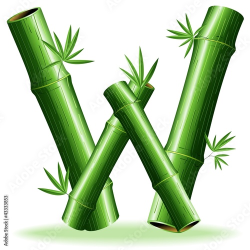 Bambù Lettera W-Bamboo Logo Sign Letter W-Vector