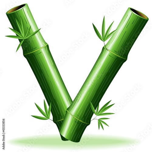 Bambù Lettera V-Bamboo Logo Sign Letter V-Vector