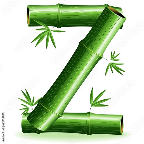 Bambù Lettera Z-Bamboo Logo Sign Letter Z-Vector