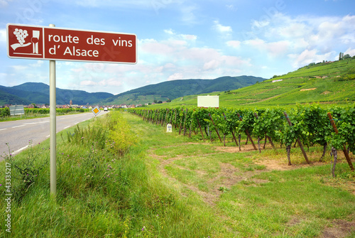 Route des vins d'Alsace. photo