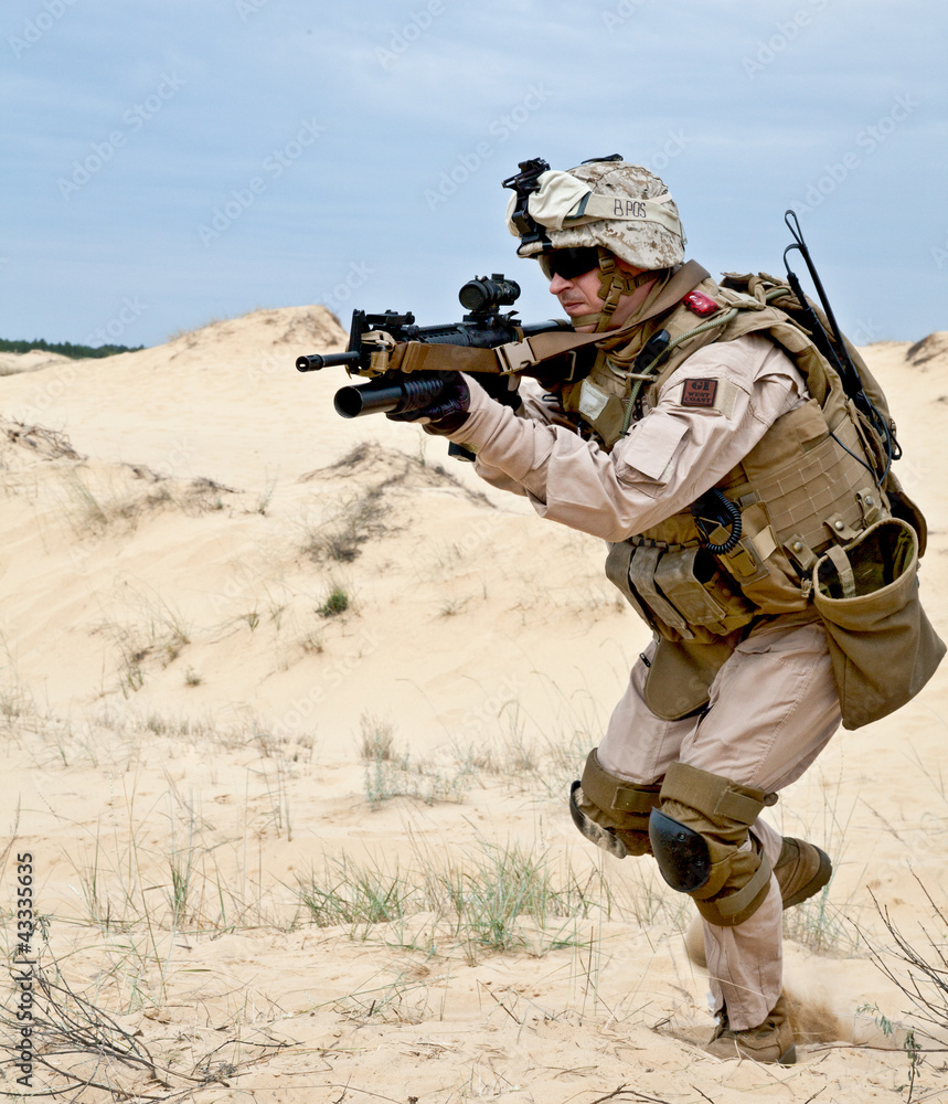 Fototapeta premium fighting in the desert