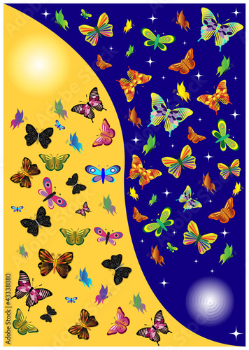 One day butterflies