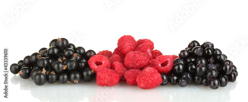 Fresh berries isolated on white