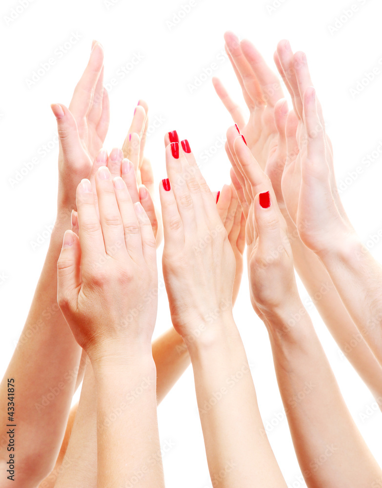 group of young people's hands isolated on white group of young people's hands isolated on white