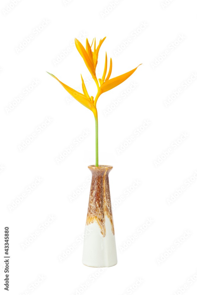 vase flower vase flower