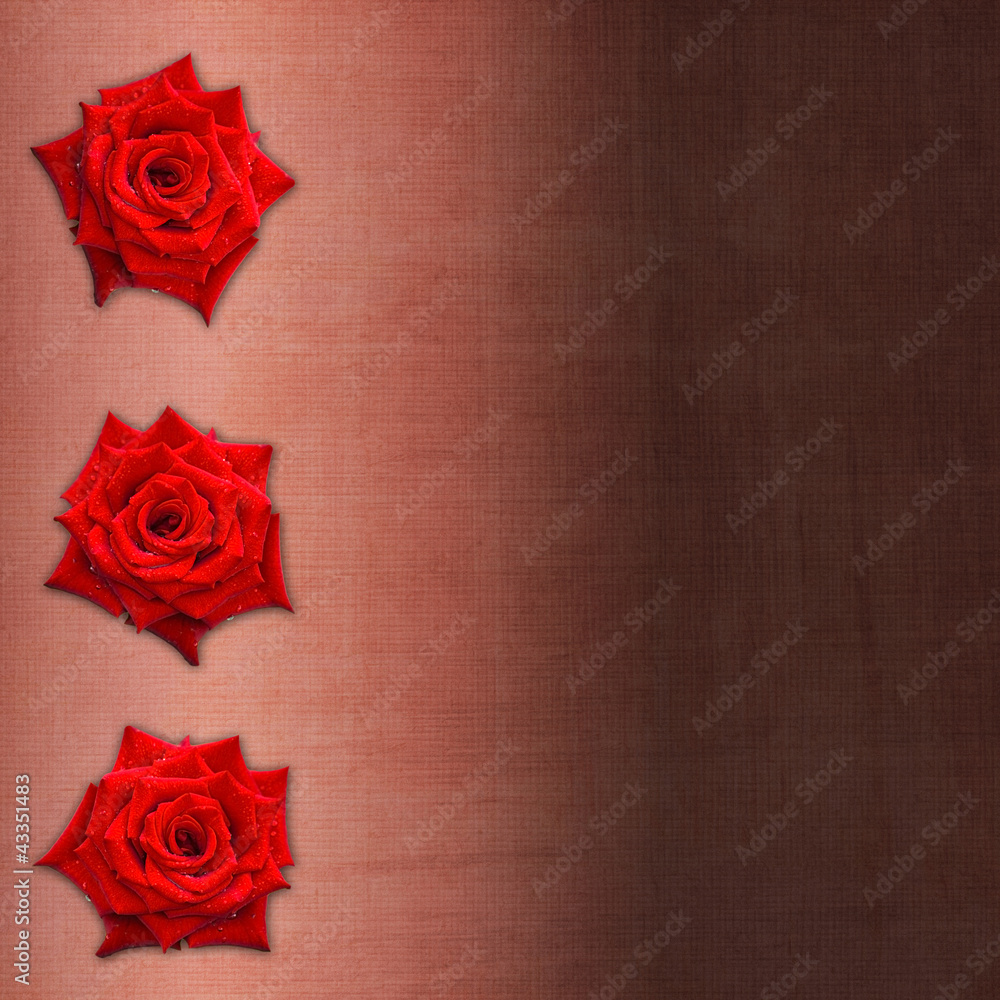 Card for congratulation or invitation with red roses Card for congratulation or invitation with red roses