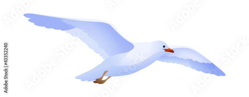 vector icon seagull