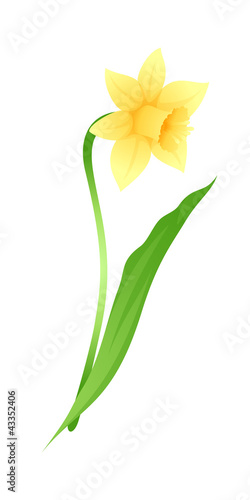 vector icon flower