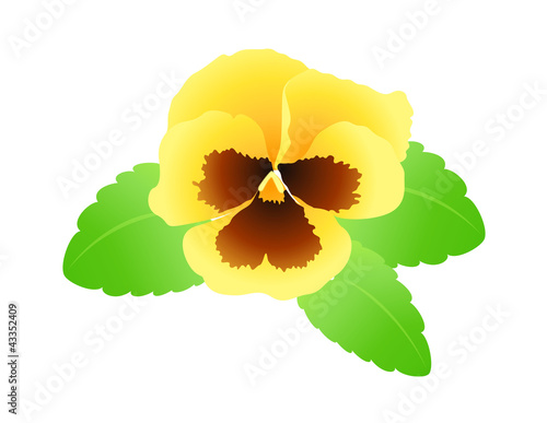 vector icon flower