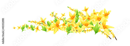 vector icon flower
