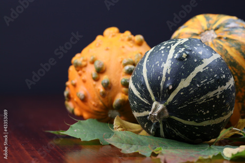 Autumn arrangement with colorful pumpkins