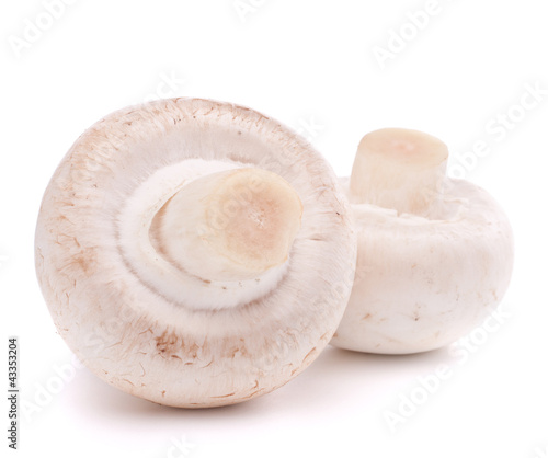 Champignon mushroom