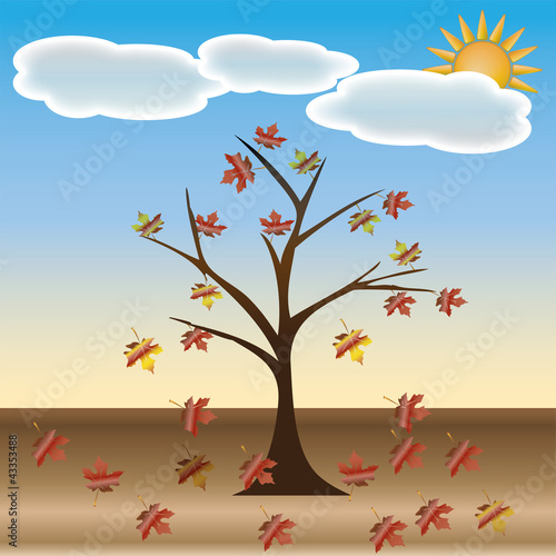 Beautiful autumn tree for your design.