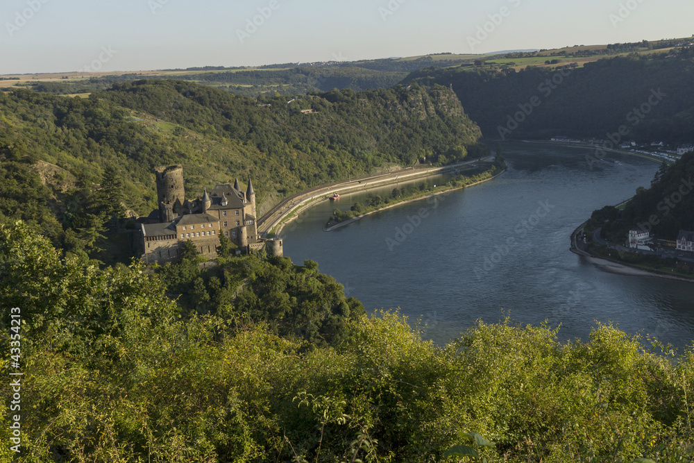 Blick auf den Rhein mit Burgruine