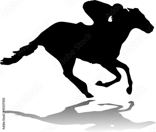 Horse race