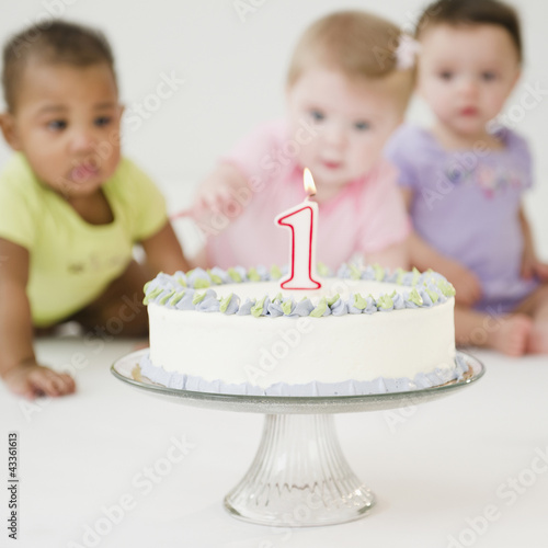 Babies looking at first birthday cake photo