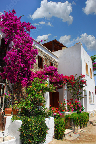 stone house in bodrum turkey