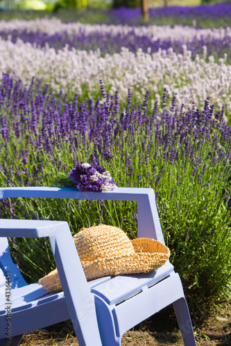 Fototapeta Naklejka Na Ścianę i Meble -  Blue chair in a purple field of lavender