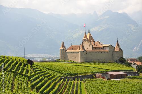 ateau d'Aigle, Switzerland photo