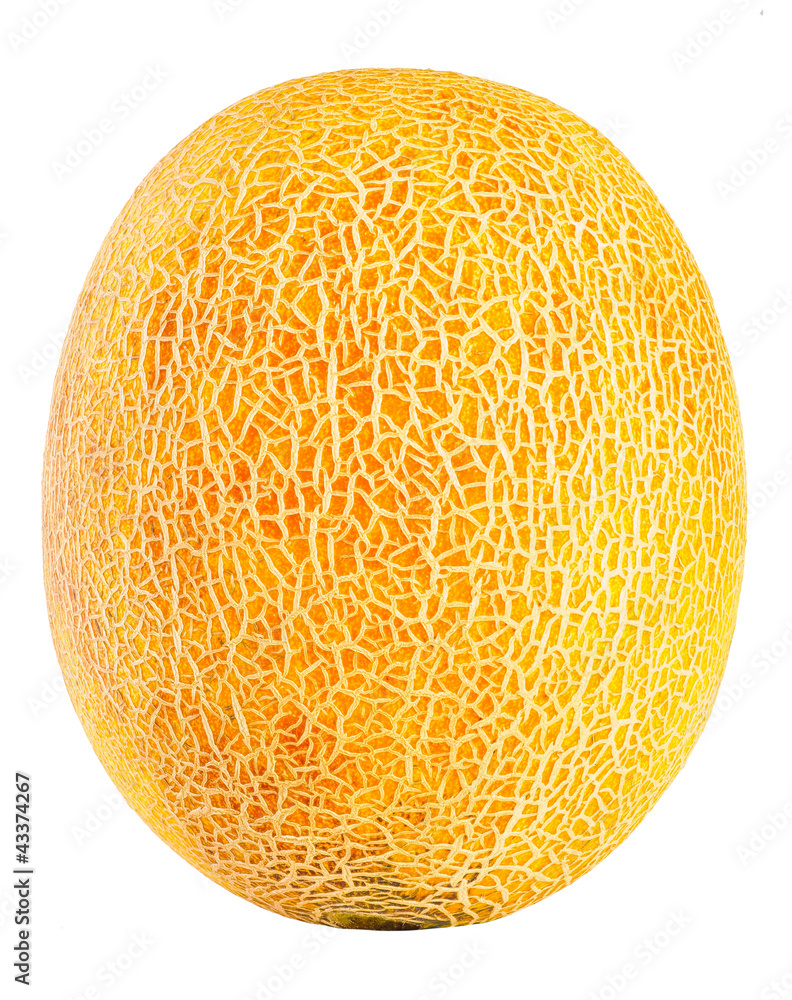 Ripe cantaloupe isolated on a white background Ripe cantaloupe isolated on a white background