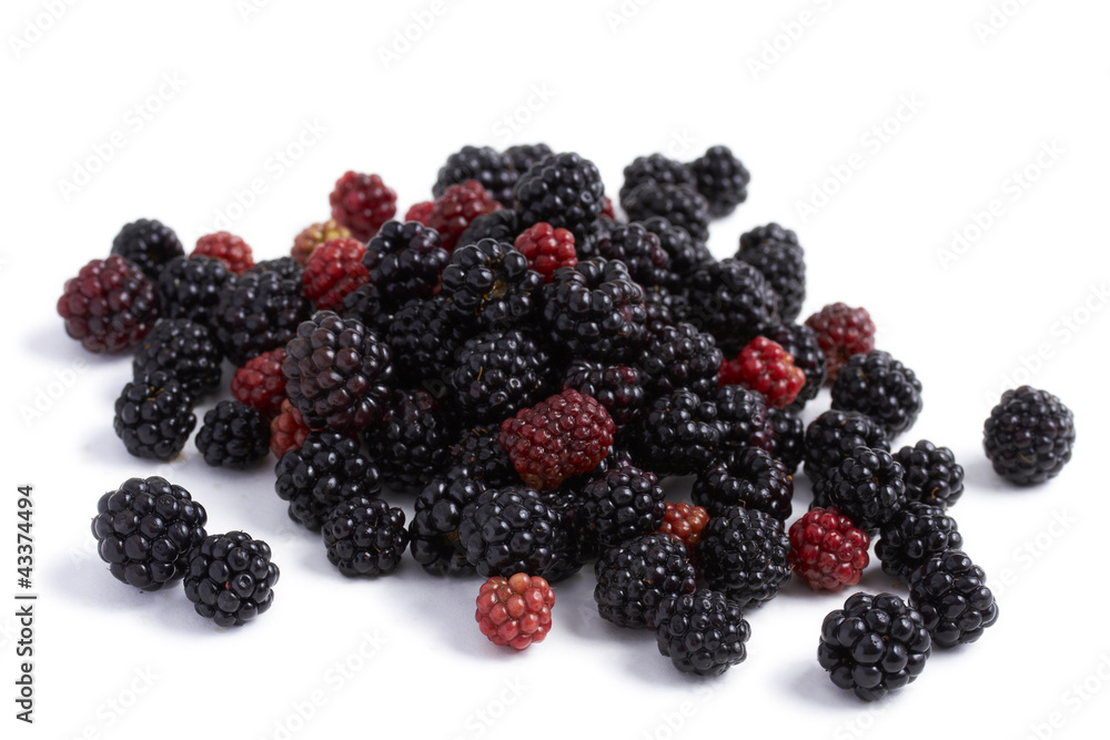Blackberry and redberry Blackberry and redberry