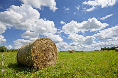 Rolled heystack in a field with picturesque sky  photo