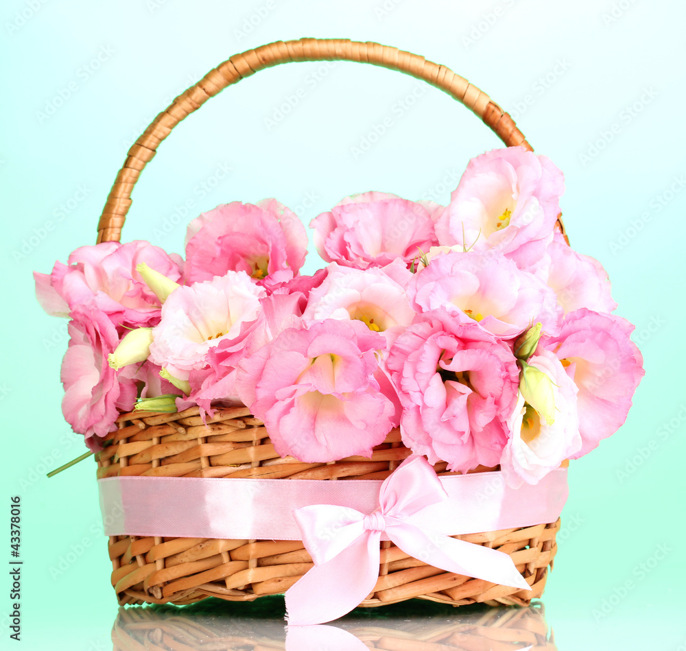bouquet of eustoma flowers in basket, on blue background bouquet of eustoma flowers in basket, on blue background
