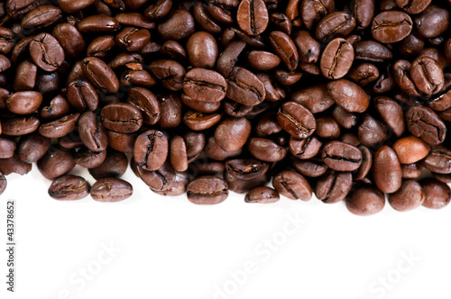 Coffee beans on the white background with copy space