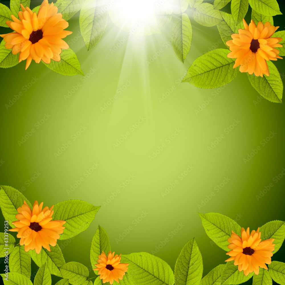 Obraz premium natural green background with flowers
