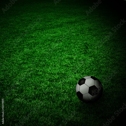 Soccer ball on the green field