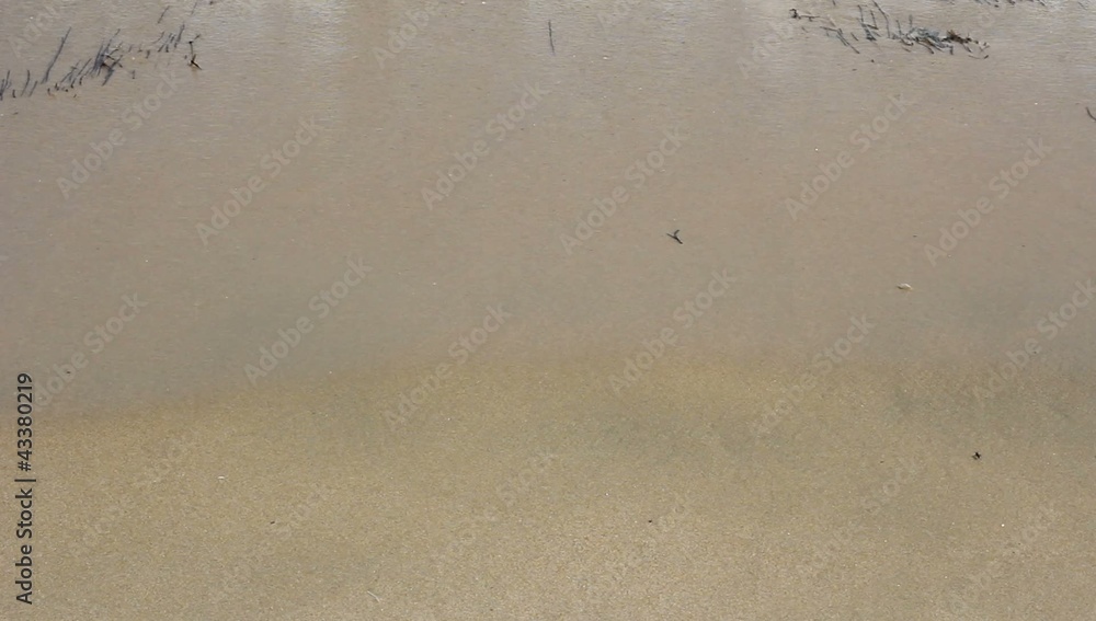 Barefoot feet walking in surf on sand coast Barefoot feet walking in surf on sand coast