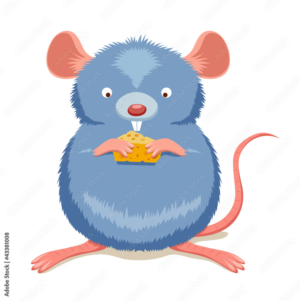 Rat eating cheese