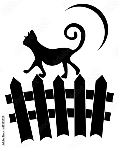 Cat on fence