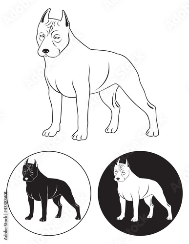 Staffordshire Terrier